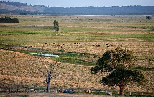 وضع قوانین شفاف‌تر برای خریداران خارجی در استرالیا