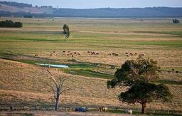 وضع قوانین شفاف‌تر برای خریداران خارجی در استرالیا