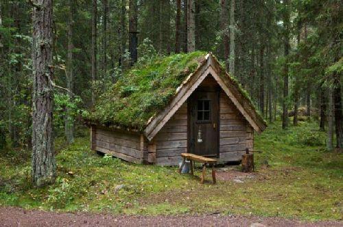 دکلمه های کوتاه و دلنشین/ خانه من...شعری از فریدون مشیری با صدای شیرین