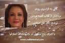 داستان کوتاه و آموزنده /ضرورت هدف داشتن و تمرکز بر هدف  ...نوشته دكتر  علي صاحبی...با صدای رويا ملكوتی