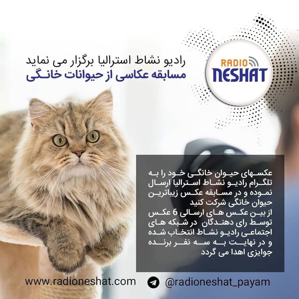 مسابقه عکاسی از حیوانات خانگی در رادیو نشاط استرالیا