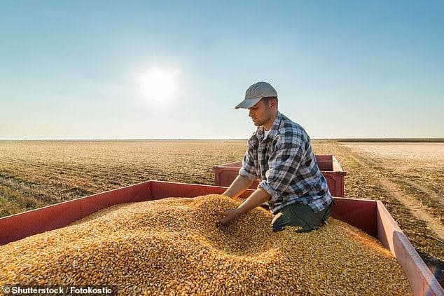 استرالیا برای اولین بار پس از 12 سال خشکسالی مجبور به واردات گندم شد