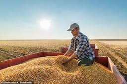 استرالیا برای اولین بار پس از 12 سال خشکسالی مجبور به واردات گندم شد