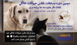 3000 دلار جایزه به برندگان برتر دومین دوره مسابقات عکس حیوانات خانگی 