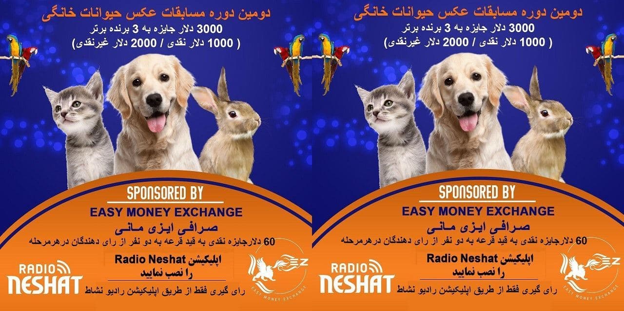 رای گیری دومین دوره مسابقه عکس حیوانات خانگی رادیو نشاط شروع شد
