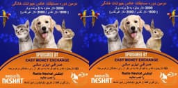 رای گیری دومین دوره مسابقه عکس حیوانات خانگی رادیو نشاط شروع شد