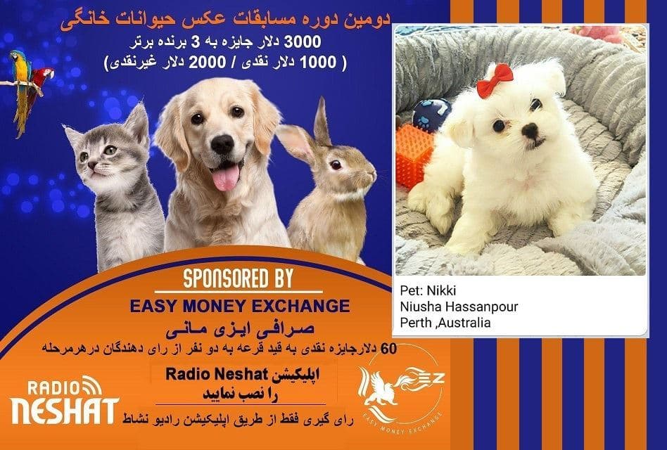 NIKKI اولین فینالیست، دومین دوره مسابقه عکس حیوانات خانگی رادیو نشاط 