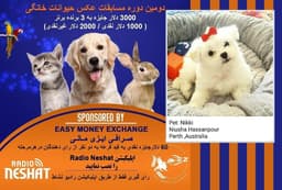 NIKKI اولین فینالیست، دومین دوره مسابقه عکس حیوانات خانگی رادیو نشاط 