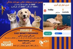 آغاز سری سوم رای گیری/HOBBYN,دومین فینالیست دومین دوره مسابقه عکس حیوانات خانگی رادیو نشاط