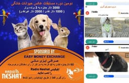 آغاز سری چهارم رای گیری/ FIDDLE و PETER در مرحله سوم رای گیری به فینال دومین دوره مسابقه عکس حیوانات خانگی رادیو نشاط راه پیدا کردند.