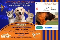 آغاز سری ششم رای گیری/ کایزر در مرحله پنجم رای گیری به فینال دومین دوره مسابقه عکس حیوانات خانگی رادیو نشاط راه پیدا کرد.