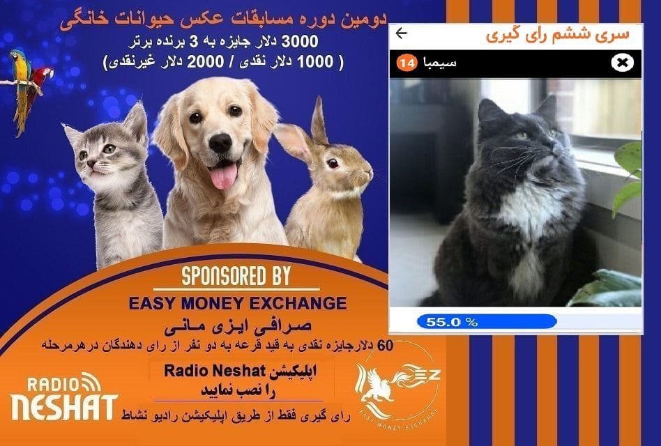 آغاز سری هفتم رای گیری/ سیمبا در مرحله ششم رای گیری به فینال دومین دوره مسابقه عکس حیوانات خانگی رادیو نشاط راه پیدا کرد.