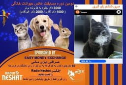 آغاز سری هفتم رای گیری/ سیمبا در مرحله ششم رای گیری به فینال دومین دوره مسابقه عکس حیوانات خانگی رادیو نشاط راه پیدا کرد.