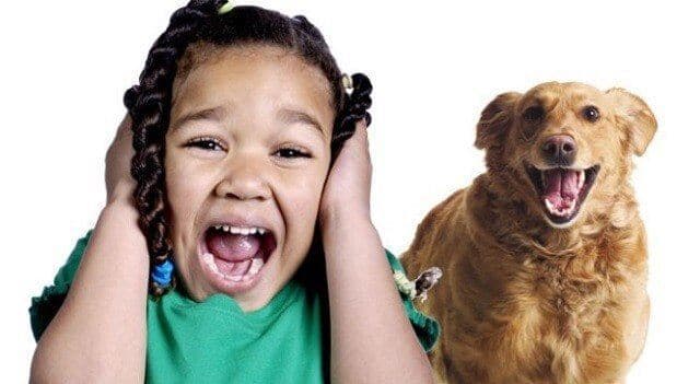 زوفوبیا(Zoophobia) یعنی چه؟ آیا از حیوانات می‌ترسید؟ 
