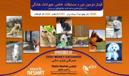 آغاز فینال دومین دوره مسابقه عکس حیوانات خانگی رادیو نشاط 