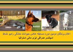 اعلام برندگان دومین دوره مسابقه عکس حیوانات خانگی رادیو نشاط 