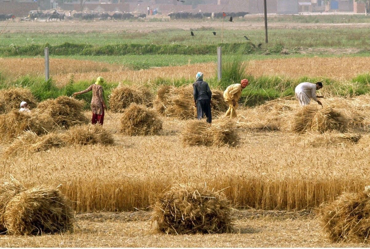 پیش‌بینی خشکسالی در افغانستان