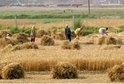 پیش‌بینی خشکسالی در افغانستان