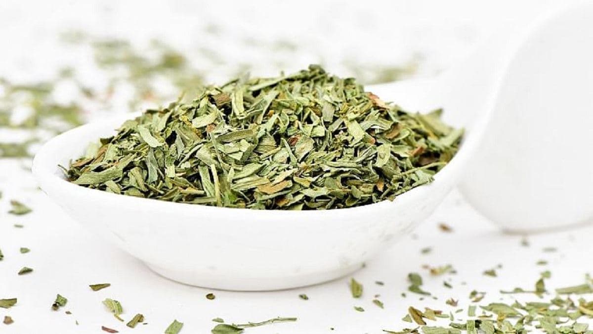 گیاهی ماداگاسکاری روی بیماران مبتلا به کووید-19 آزمایش می‌شود