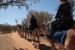 گردشگری استرالیا / داروین...قلمرو شمالی استرالیا/ شهر آلیس اسپرینگز ( Alice Springs )