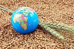 روز جهانی غذا و کاهش بی‌سابقه و فاجعه‌بار امنیت غذایی