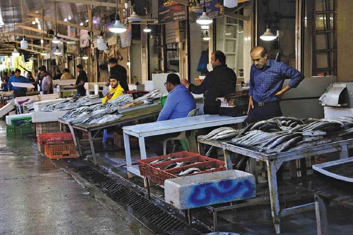 مصرف آبزیان در ایران، 10 کیلو کمتر از متوسط جهانی
