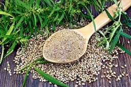 گیاه‌ شاه‌دانه مانع ابتلای افراد به بیماری کووید19 می‌شود