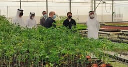 همکاری امارات، اردن و هلند برای تولید میوه در بیابان