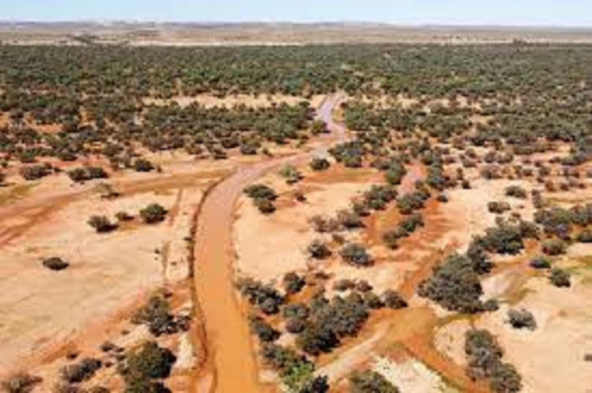 بیابان‌های استرالیای جنوبی بعد از سیلاب جان دوباره گرفتند