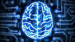مغز انسان در لحظات آخر نزدیک به مرگ چه عملکردی دارد؟