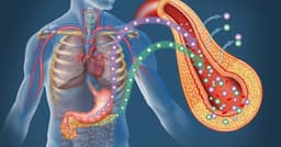 احتمال درمان دیابت نوع دو در آینده نزدیک با امواج فراصوت