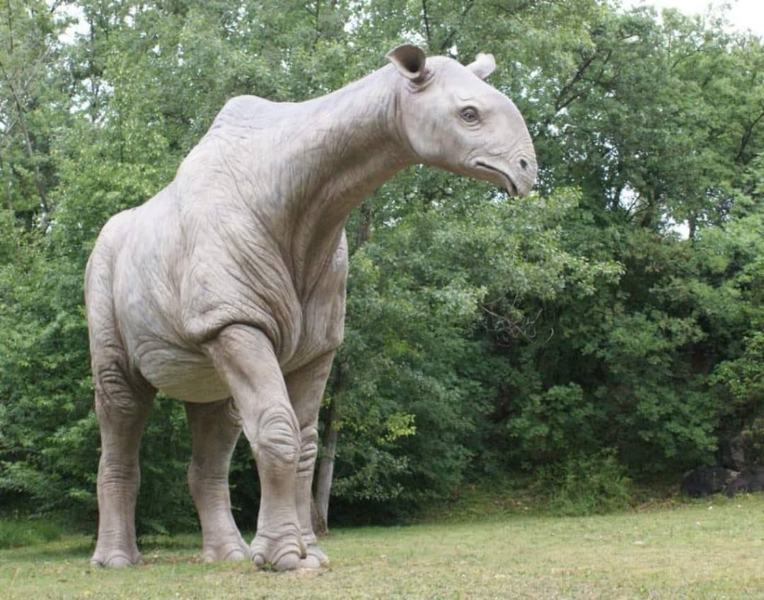پستانداران ماقبل تاریخ چگونه شانس خود را برای بقا افزایش می‌دادند؟