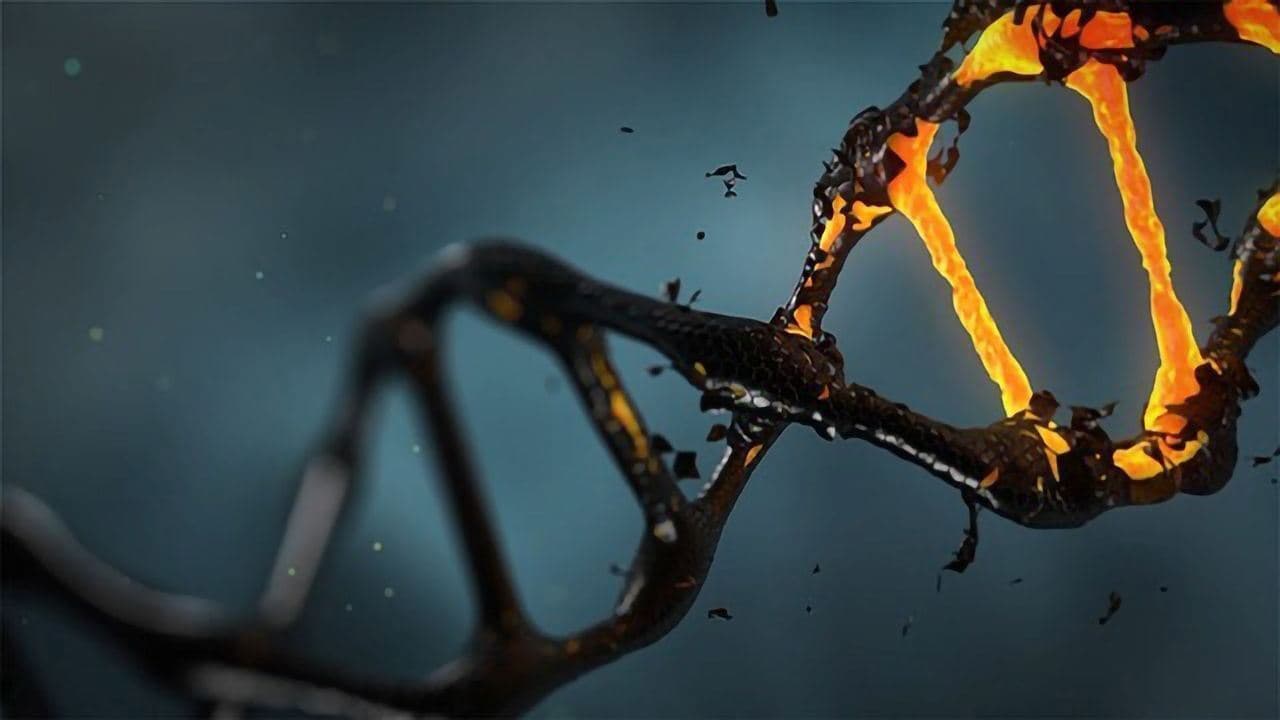 سلول‌های انسان هر 7 سال یکبار متولد می‌شوند