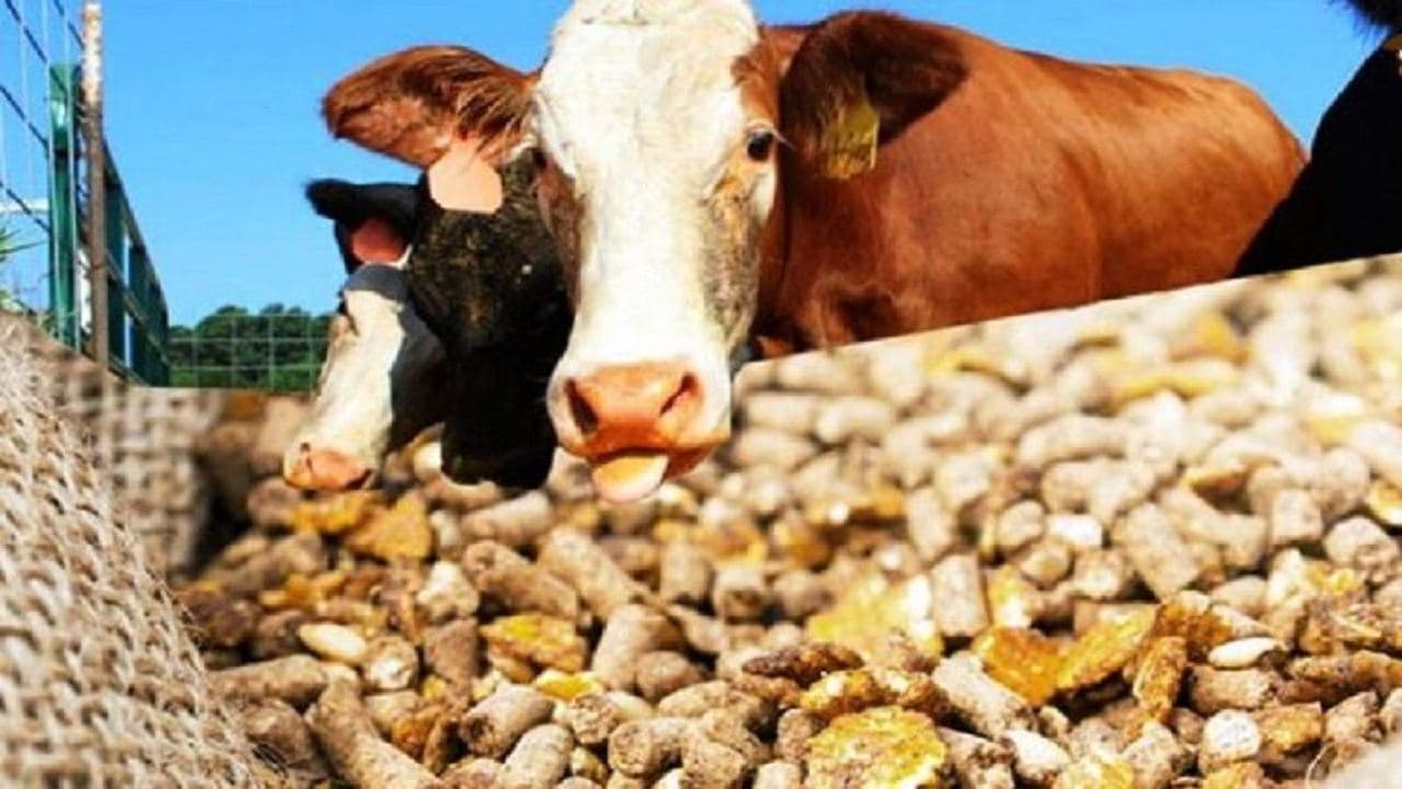 تشدید فشارها برای بستن مرزهای استرالیا با اندونزی