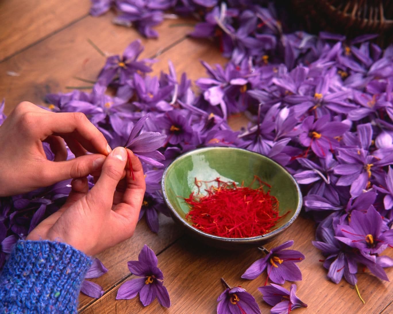 برنامه امارات برای ایجاد مزرعه عمودی پرورش زعفران