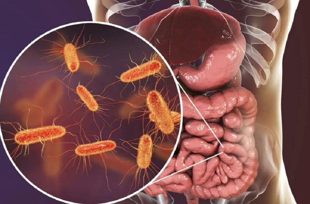 FDA آمریکا به درمان کاشت مدفوع در بدن مجوز داد