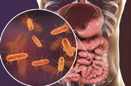 FDA آمریکا به درمان کاشت مدفوع در بدن مجوز داد