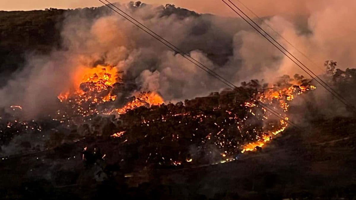 آتش‌سوزی گستره جنگل در شمال شرقی ملبورن، ایالت ویکتوریای استرالیا