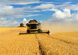 چین هنوز تعرفه‌های واردات جو از استرالیا را لغو نکرده است