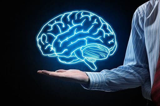 نتایج عجیب یک پژوهش؛ مغز انسان بزرگ شده است!