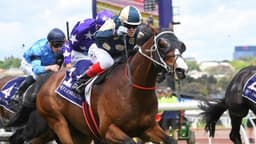 ملبورن کاپ ( MELBOURNE CUP) سه شنبه 5 نوامبر 2024