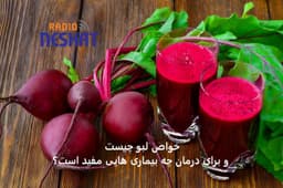 خواص لبو چیست و برای درمان چه بیماری‌ هایی مفید است؟