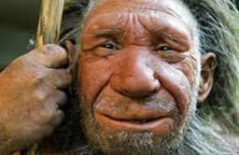 چرا انسان‌ها منقرض نشدند؟