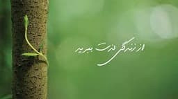 به اين دلايل ساده‌ ممکن است شکست بخوريد