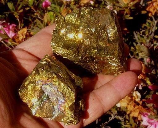 جست‌و‌جوی طلا در استرالیا.............قسمت دوم