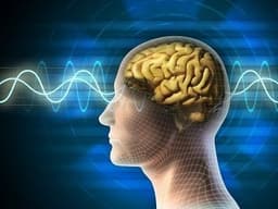 بررسی جلوگیری از پیری مغز با سونوگرافی توسط محققان استرالیا