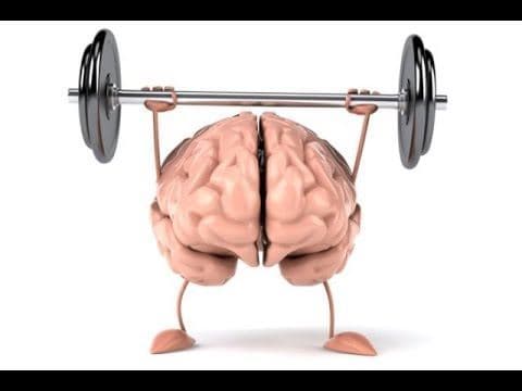 هفت راهکار برای تقویت حافظه