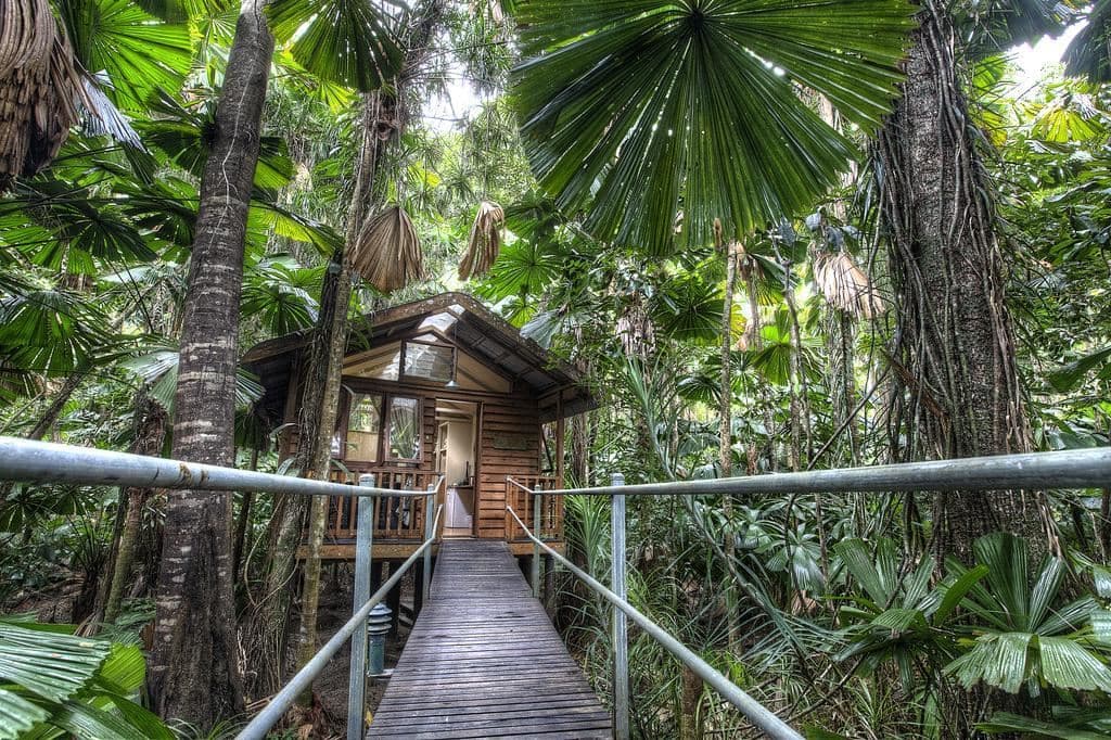 گردشگری استرالیا/بریزبن...ایالت کوئینزلند/ اقامتگاه درختی ( The Daintree Eco )