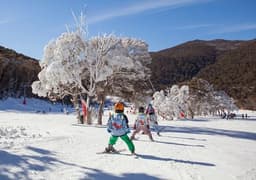 گردشگری استرالیا/سیدنی...ایالت نیو ساوت ولز/مناطق برف خیز ( Snowy Areas )