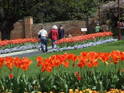 گردشگری استرالیا/هوبارت...ایالت تاسمانیا/ باغهای گیاه شناسی سلطنتی( Royal Tasmanian Botanical Gardens )